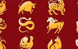 Bậc thầy phong thuỷ dự đoán tài vận 12 con giáp năm 2026: Tuổi Mão tiền vào như nước, Sửu, Dậu “thắng đậm” mọi mặt