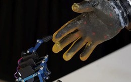 Không còn là phim viễn tưởng, robot hình người giờ đã biết đau, phản xạ như con người - các nhà khoa học đã làm gì?