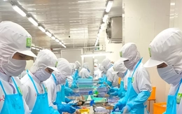 Xoay vốn cho sản xuất