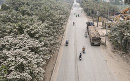 'Bão bụi' bao phủ đường cửa ngõ Hà Nội, cây cối chuyển màu trắng xóa