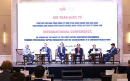 SCIC muốn trở thành Quỹ đầu tư Chính phủ: Học Temasek, Khazanah hay Danatara?