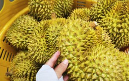 Bộ Nông nghiệp và Môi trường nói gì về vụ án liên quan xuất khẩu sầu riêng?