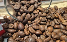 Giá cà phê hôm nay 5-12: Cắt mạch giảm và tin tốt ở thị trường số 1