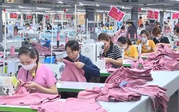 Thương mại Mỹ - Ấn gặp trắc trở, một ngành hàng chủ lực của Việt Nam lại được gọi tên