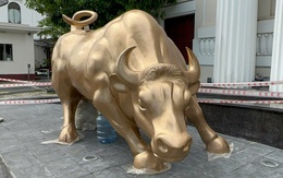 Sở Giao dịch Chứng khoán TPHCM thay biểu tượng "bò tót tấn công" sau 25 năm?