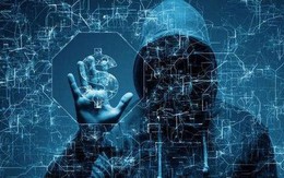 Sản phẩm "Made in Vietnam" lập kỳ tích, vượt qua hàng loạt các tên tuổi có máu mặt trên thế giới