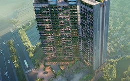 Không còn nỗi lo nhập viện lúc nửa đêm: Nhà ở có bác sĩ trở thành lựa chọn mới