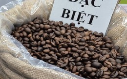 Giá cà phê hôm nay 6-12: Thêm tuần buồn