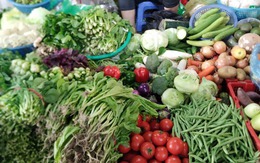 5 loại rau càng rẻ càng dễ dính hóa chất