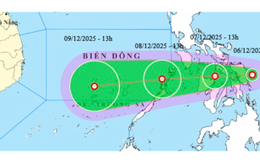 Áp thấp nhiệt đới giật cấp 8 sắp vào Biển Đông