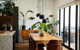 6 vị trí trong nhà tuyệt đối không được đặt cây: Số 3 khiến nhiều người "ngã ngửa"