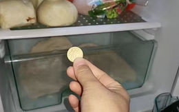 Người thông minh bỏ 1 đồng xu vào tủ lạnh trước khi vắng nhà dài ngày: Lý do nghe xong ai cũng phải gật gù đồng ý