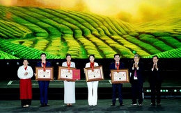 Khai mạc lễ hội Trà Quốc tế, nhiều kỷ lục được vinh danh