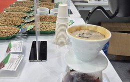 Giá cà phê hôm nay 7-12: Người Việt uống cà phê còn ít