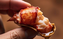 Ngành kinh tế tỷ đô bứt tốc ngoạn mục, Trung Quốc có đóng góp quan trọng nhất