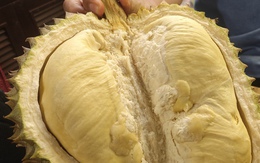 Giá sầu riêng trái vụ bất ngờ rớt mạnh