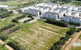 TP.HCM xây dựng cơ chế hỗ trợ thực hiện dự án nhà ở xã hội sau sáp nhập