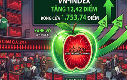 VN-Index vượt 1.750 điểm nhờ VIC tăng trần, danh mục nhà đầu tư vẫn "đỏ lửa"
