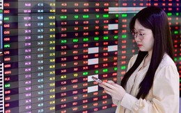 CTCK dự báo 3 kịch bản cho VN-Index tháng 12, chỉ tên nhóm cổ phiếu có triển vọng tích cực