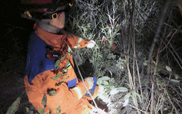 Hai đứa trẻ bỗng mất hút sau lời rỉ tai về "tiên thảo": Phụ huynh nghe xong lạnh cả sống lưng