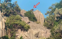 Kiểm lâm bất ngờ phát hiện loài vật cổ xưa trên sườn núi, người dân không khỏi xôn xao