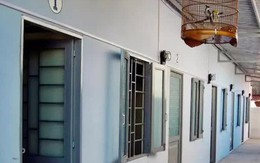 Cho thuê nhà mặt tiền, phòng trọ có cần đăng ký hộ kinh doanh không, kê khai thuế thế nào?