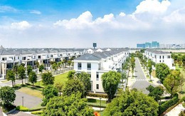 Novaland, LDG, Danh Khôi... và nhiều doanh nghiệp bất động sản báo lỗ năm 2024