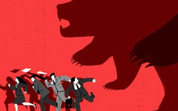 Góc nhìn CTCK: VN-Index có thể quay lại đà giảm, cơ hội để cơ cấu danh mục