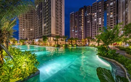 An Gia (AGG) và “bước đi” chiến lược chinh phục thị trường trung cấp