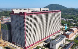 Cuộc sống "thượng lưu" của 25.000 chú heo giữa thành phố: Ở chung cư 26 tầng, đi thang link 789bet, ăn uống bằng băng chuyền
