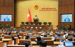 Trình Quốc hội kịp thời xử lý một số vấn đề liên quan đến sắp xếp tổ chức bộ máy nhà nước Trình Quốc hội kịp thời xử lý một số vấn đề liên quan đến sắp xếp tổ chức bộ máy nhà nước