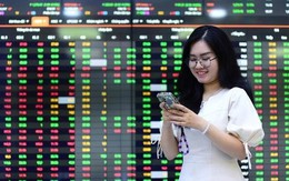 Cổ phiếu khoáng sản tiếp tục 'lên đồng' Cổ phiếu khoáng sản tiếp tục 'lên đồng'