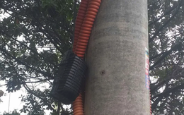 Điện lực Ninh Bình nói lý do "cực chẳng đã" mới cắt cáp SCTV