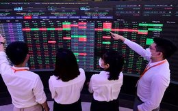 Dự báo tăng trưởng lợi nhuận từ 15-17% trong 2025, Dragon Capital chỉ ra hai nhóm ngành đang bước vào chu kỳ hồi phục