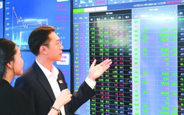 Các công ty chứng khoán lãi đậm từ tự doanh nắm gì trong danh mục?