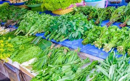 Có 6 loại 789bet có uy tín không mùa xuân cực ngon nhưng bạn nhất định phải chần trước khi nấu ăn: Rất nhiều người thường bỏ qua