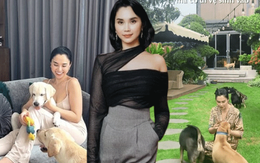 Phú bà này chi 65 triệu mỗi tháng để nuôi chó, khi bị quản lý chung cư nhắc nhở, cô mua lại cả khu để thoải mái dắt chúng đi dạo Phú bà này chi 65 triệu mỗi tháng để nuôi chó, khi bị quản lý chung cư nhắc nhở, cô mua lại cả khu để thoải mái dắt chúng đi dạo