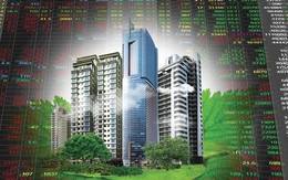 Cổ phiếu của 2 'ông lớn' dậy sóng