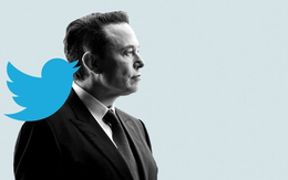 Thị trường nợ Elon Musk một lời xin lỗi: Giá trị Twitter-X vượt 44 tỷ USD chỉ sau 2 năm, từ thương vụ tồi tệ nhất lịch sử đến canh bạc thành công cho ông chủ Tesla