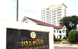 Truy tìm nguyên Tổng Giám đốc Công ty du lịch Bản Đôn