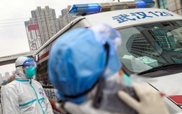 Trung Quốc phát hiện virus nhà cái 789bet mới, có thể lây sang người như COVID-19