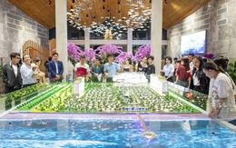 The Maris Vũng Tàu - Tiên phong xu hướng All-In-One cho nghỉ dưỡng biển cao cấp