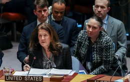 Đại hội đồng ủng hộ nghị quyết của Ukraine, Hội đồng Bảo an thông qua nghị quyết của Mỹ