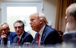 Ông Donald Trump: “EU kìm hãm kinh tế Mỹ, nhưng bây giờ tôi đã là tổng thống”