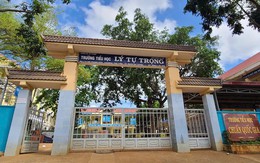 Tạm dừng 789bet của giáo viên bị "tố" đánh, hành hạ nhiều học sinh