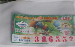 Lý do tạm hoãn phiên hoà giải vụ kiện 2 tỉ đồng tiền trúng vé số Lý do tạm hoãn phiên hoà giải vụ kiện 2 tỉ đồng tiền trúng vé số