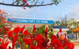 Làm rõ thông tin thầy giáo cấp 3 bị tố "quan hệ bất chính khiến nữ sinh mang thai"