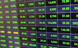 Chứng khoán ngày mai, 5-2: Khởi sắc sau Tết, nhà đầu tư lại hào hứng