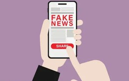 Thanh thiếu niên dính bẫy lừa đảo trực tuyến nhiều hơn vì AI