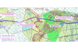 Thủ tướng Chính phủ phê duyệt chủ trương đầu tư dự án truyền tải điện hơn 650 tỷ đồng